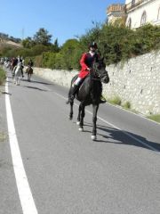 Badolato: i baroni Gallelli aprono la stagione di caccia alla volpe a cavallo
