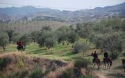 La caccia alla volpe a cavallo: la Calabria come Inghilterra
