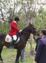 Badolato: anche quest’anno i baroni Gallelli organizzano la caccia alla volpe a cavallo