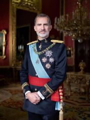 Sua Maestà Felipe VI di Spagna ringrazia il barone Gallelli di Badolato