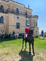 Caccia alla volpe a cavallo a castello Gallelli di Badolato