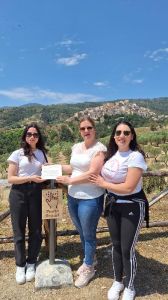 Turismo accessibile ed inclusivo
