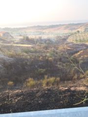 Incendio doloso a tenuta Pietranera dei baroni di Badolato