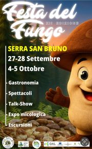 Festa del fungo XII edizione