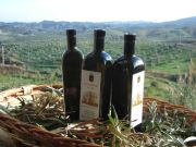 L'olio extravergine di oliva dei baroni Gallelli: un successo internazionale che profuma di Calabria