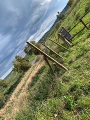 Danni vandalici al pascolo dei cavalli dei Baroni di Badolato