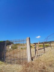 Ripresi dalle telecamere di sicurezza di castello Gallelli e denunciati alle forze dell'ordine
