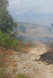 Incendio doloso sui terreni dei baroni Gallelli di Badolato
