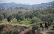 La caccia alla volpe a cavallo: la Calabria come Inghilterra