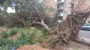 Maltempo a Reggio Calabria, vento e pioggia flagellano la città: c’è anche un morto
