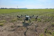 Calabria: piromane beccato dal drone, lo prende a sassi per abbatterlo